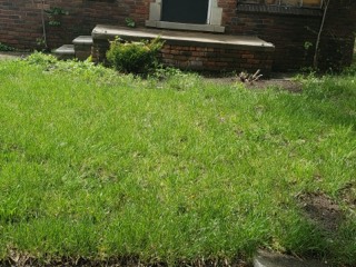 6865 Vaughan (4).jpg